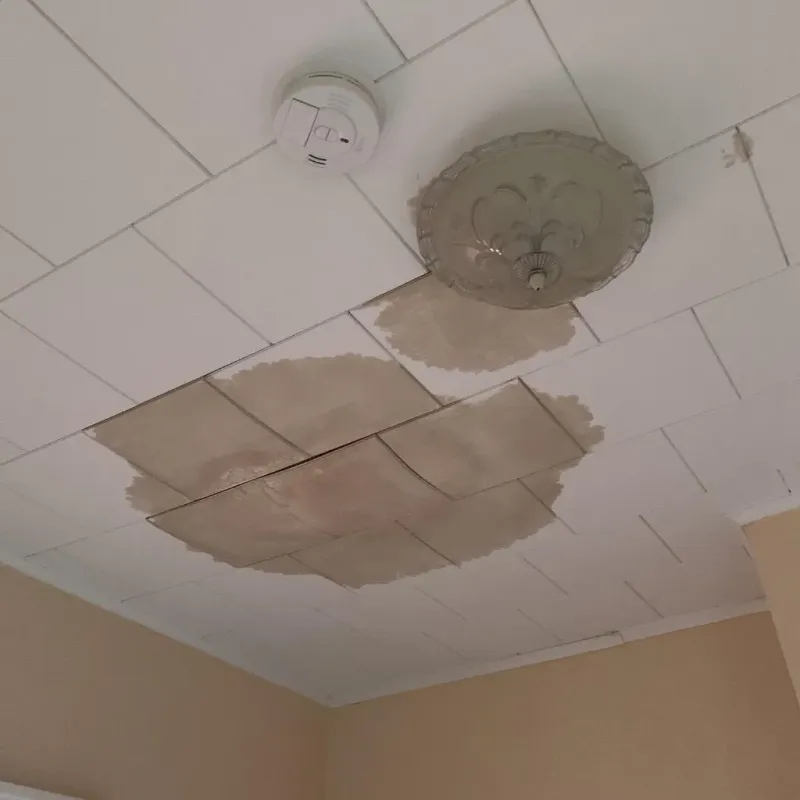 Ceiling Water Damage Repair in Concordia, NJ