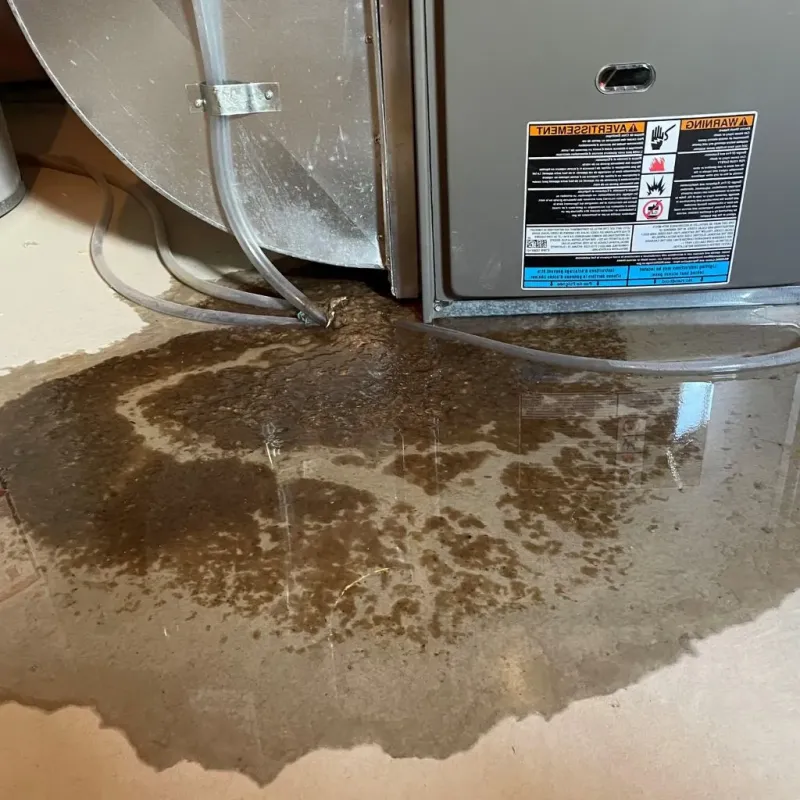 Pipe Burst and Leak Restoration in Concordia, NJ